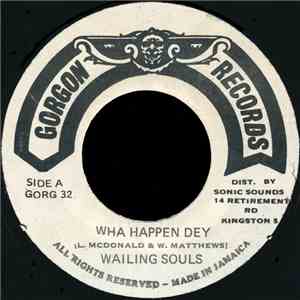 Wailing Souls - Wha Happen Dey download flac