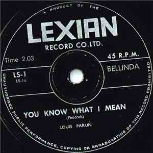 Louis Parun - You Know What I Mean download flac
