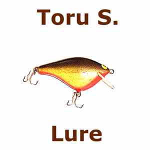 Toru S. - Lure download flac