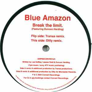 Blue Amazon Featuring Duncan Harding - Break The Limit download flac