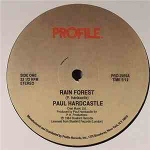 Paul Hardcastle - Rain Forest / Sound Chaser download flac