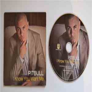 Pitbull - I Know You Want Me (Calle Ocho) download flac