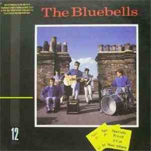 The Bluebells - The Bluebells download flac