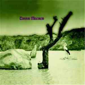 Tonton Macoute - Tonton Macoute download flac