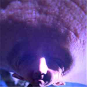 A Bit Crusher - A Message download flac