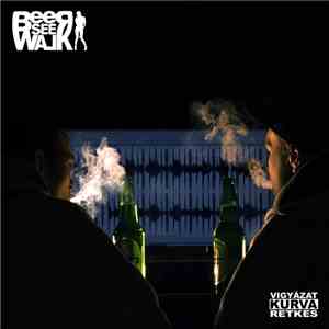 BeerSeeWalk - Picsa download flac