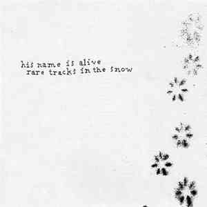 His Name Is Alive - Rare Tracks In The Snow download flac