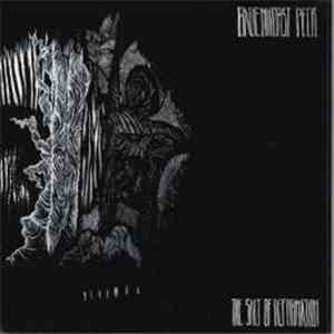 Badenhorst / Peck - The Salt Of Deformation download flac