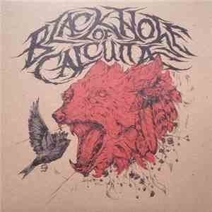 Black Hole Of Calcutta - Black Hole Of Calcutta download flac