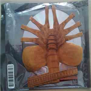Graf Orlock - Destination Time Tomorrow download flac