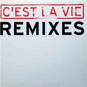 Jean-Michel Jarre - C'est La Vie (Remixes) download flac