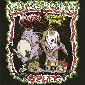 Mixomatosis / Ultimo Mondo Cannibale - Mixocannibale Split download flac