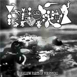 Phyllomedusa - Shallow Parts Of Perennial download flac