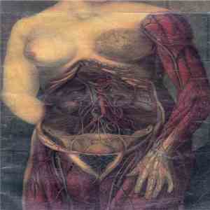 Realm Of Carnivora - Ep's 2008-2010 download flac
