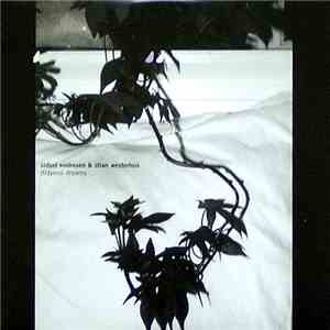 Sidsel Endresen & Stian Westerhus - Didymoi Dreams download flac