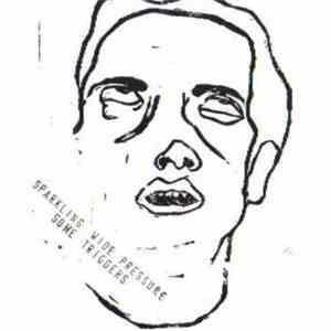 Sparkling Wide Pressure - Some Triggers download flac