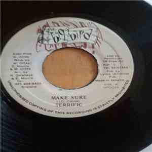 Terrific - Make Sure FLAC album