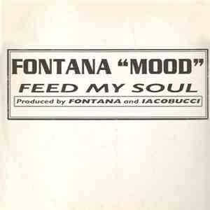 Fontana Mood - Feed My Soul download flac