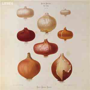 Hagen Rether - Liebe 6 download flac