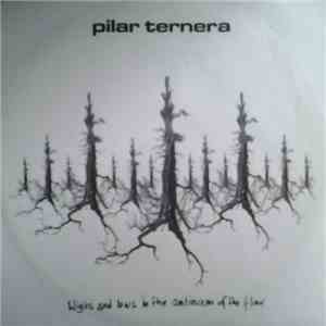 Pilar Ternera - Highs And Lows In The Continuum Of The Flow download flac