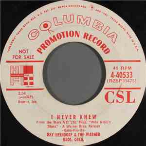 Ray Heindorf & The Warner Bros. Orch. - I Never Knew download flac