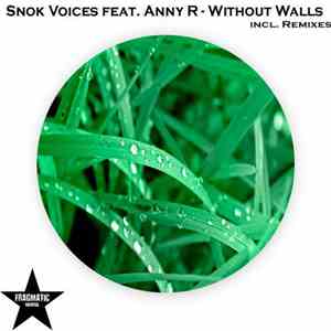 Snok Voices Feat. Anny R - Without Walls FLAC album