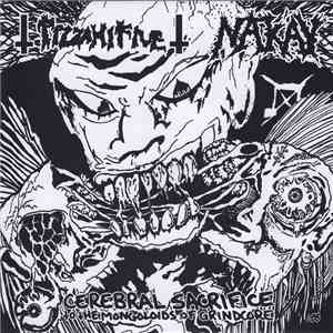 Nak'ay / Pizza Hi Five - Cerebral Sacrifice To The Mongoloids Of Grindcore download flac