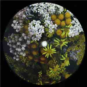 Olin - From Iceland download flac