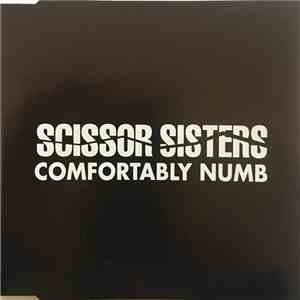 Scissor Sisters - Comfortably Numb download flac