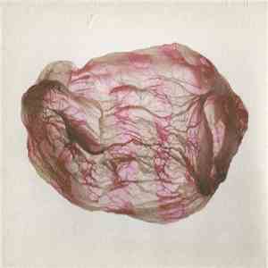 Susumu Yokota & Rothko - Distant Sounds Of Summer download flac