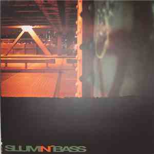 Various - Slum N' Bass download flac