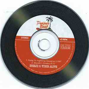 Cocojr & Vibes Alive  - The House Of The Rising Sun download flac