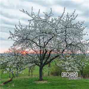 Orchard  - Serendipity download flac