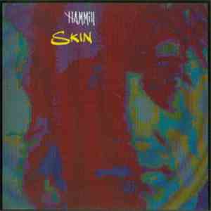 Peter Hammill - Skin download flac