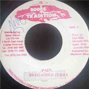 Brigadier Jerry - Pain download flac