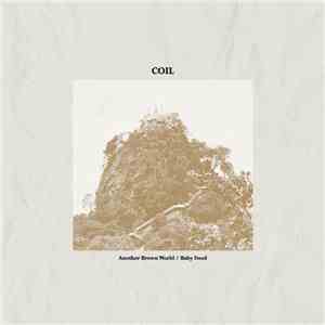 Coil - Another Brown World / Baby Food FLAC album