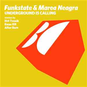 Funkstate & Marea Neagra - Underground Is Calling download flac