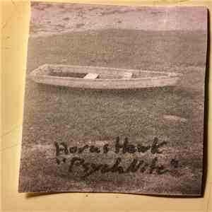 Horus Hawk - Psych Nite download flac