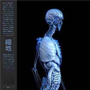 縮地 - Hypno download flac