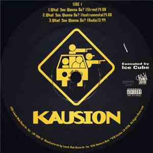 Kausion - What You Wanna Do? / Bounce, Rock, Skate download flac