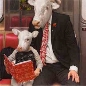 Moby - Everything Was Beautiful And Nothing Hurt download flac