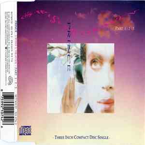 Prince - I Wish U Heaven download flac