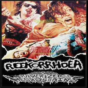 Reekorrhoea, Pulverized Necrobrains - Reekorrhoea / Pulverized Necrobrains download flac