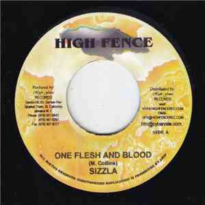Sizzla / Renegade - One Flesh And Blood / Lost A Lot Of Friends download flac