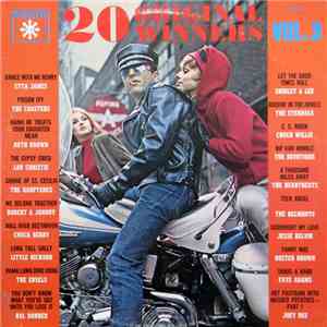 Various - 20 Original Winners Vol. 3 download flac