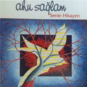 Ahu Sağlam - Senin Hikayen download flac