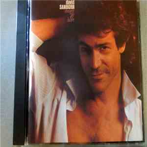 David Sanborn - Straight To The Heart download flac