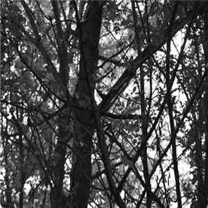 Hunter-Gatherer  - MMIVIXXXIII download flac