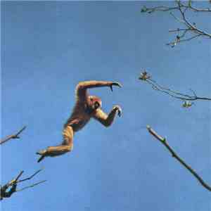 Star Club West - My Ill Women download flac