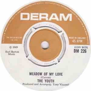 The Youth - Meadow Of My Love download flac